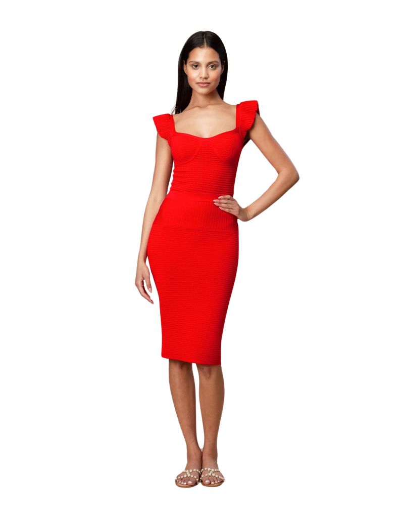 Red Bodycon Skirt